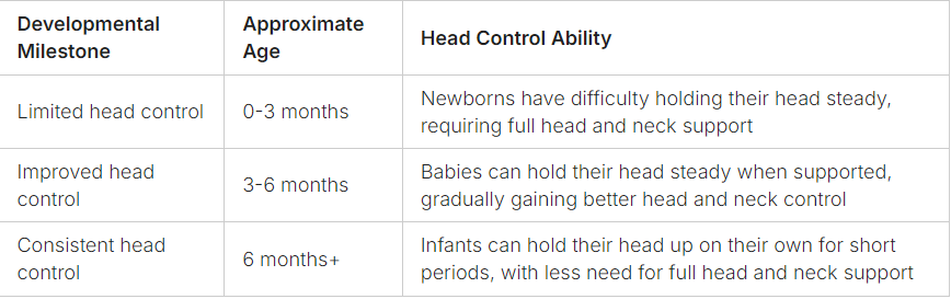 Developmental Milestones and Head Control